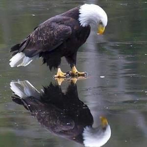 Meet your Posher, Trina